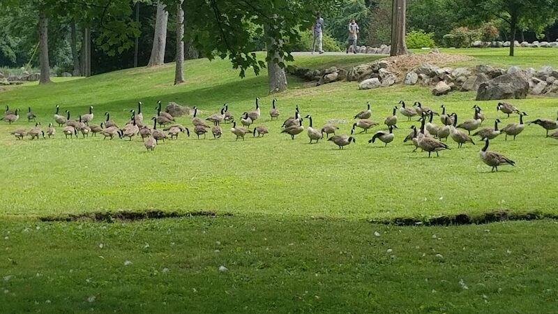 Fulton Park - Waterbury, CT