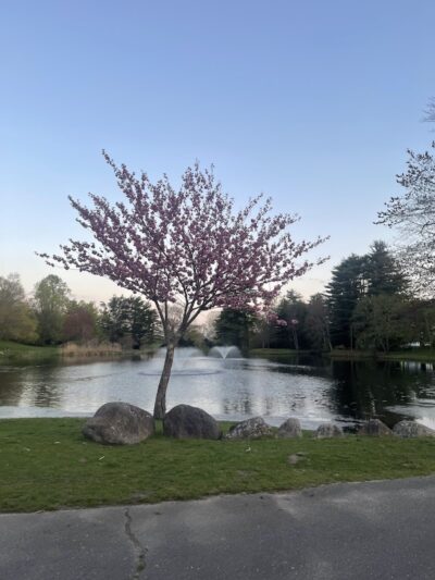 Fulton Park - Waterbury, CT