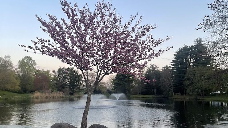 Fulton Park - Waterbury, CT