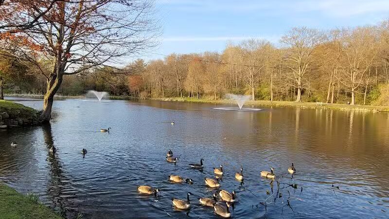 Fulton Park - Waterbury, CT