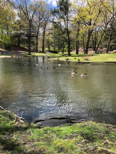 Hamilton Park - Waterbury, CT