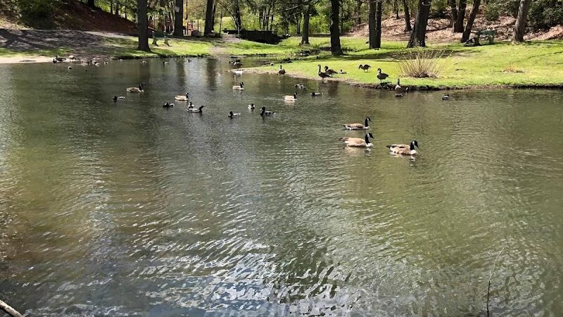 Hamilton Park - Waterbury, CT