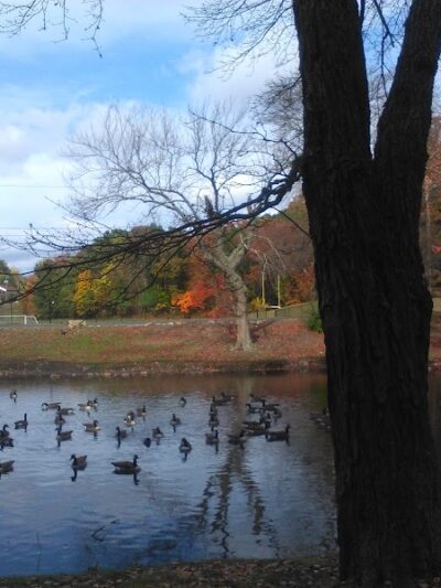 Hamilton Park - Waterbury, CT