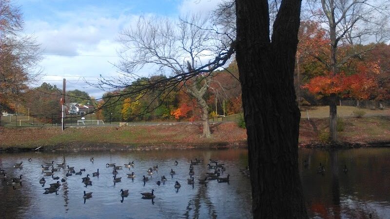 Hamilton Park - Waterbury, CT