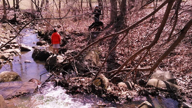 Hamilton Park - Waterbury, CT