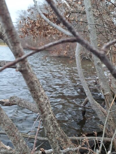 Lakewood Park Beach - Waterbury, CT