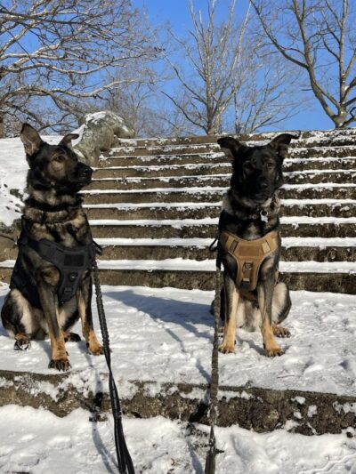 Lakewood Park Beach - Waterbury, CT