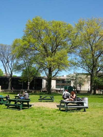 Library Park - Waterbury, CT