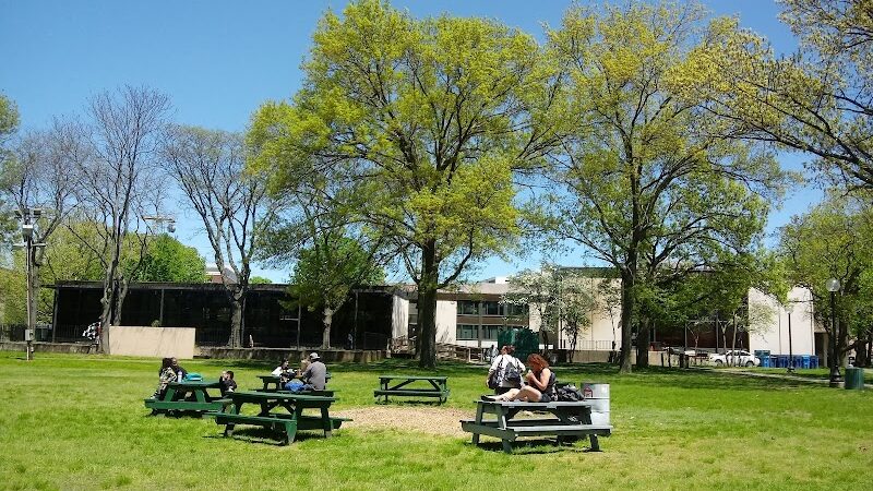 Library Park - Waterbury, CT