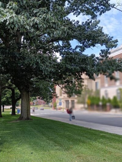 Library Park - Waterbury, CT