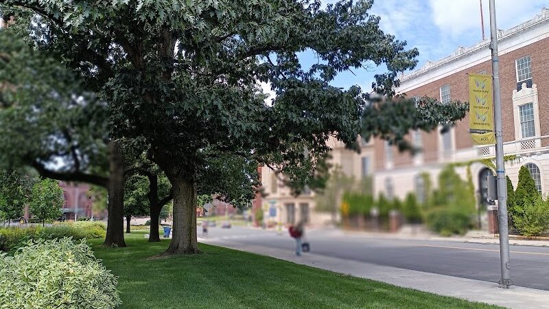 Library Park - Waterbury, CT