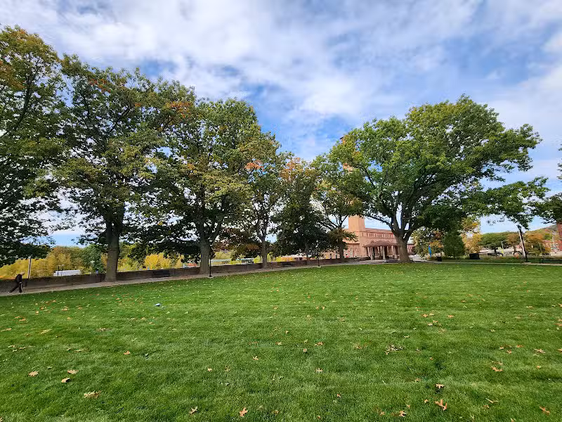 Library Park - Waterbury, CT