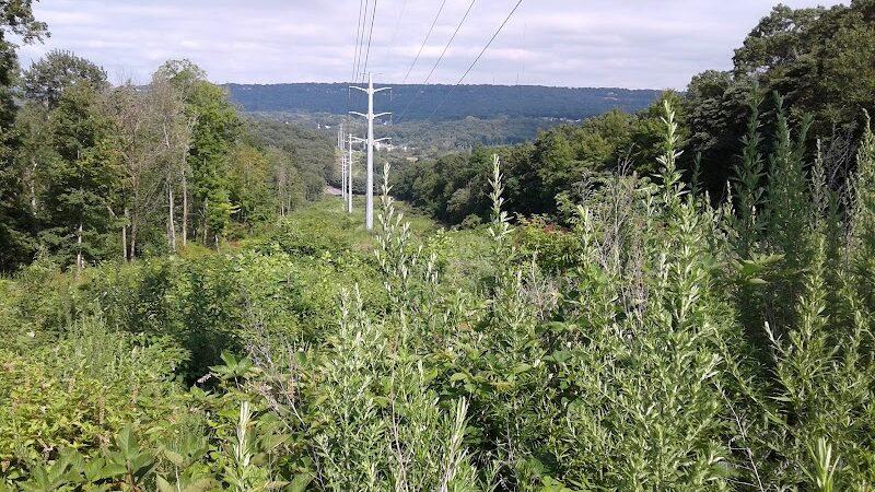 Murray Park - Waterbury, CT