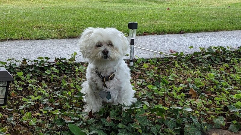 Murray Park - Waterbury, CT