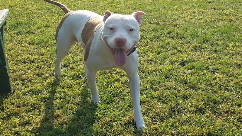 Murray Park - Waterbury, CT