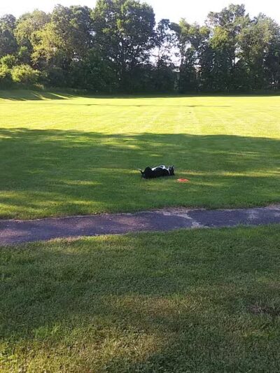 Murray Park - Waterbury, CT