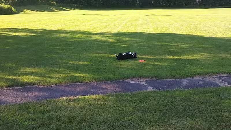 Murray Park - Waterbury, CT