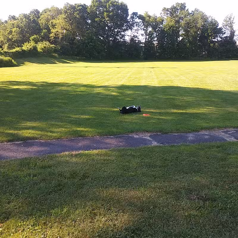 Murray Park - Waterbury, CT