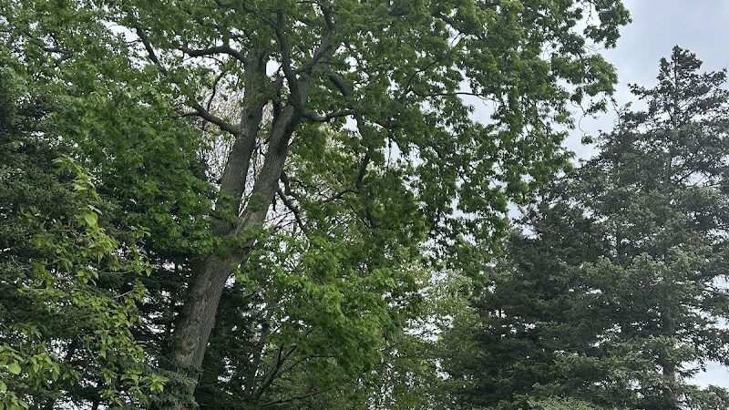 Town Plot - Waterbury, CT