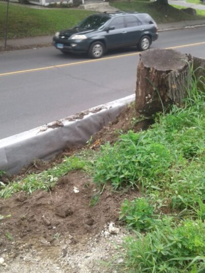 Washington Park - Waterbury, CT