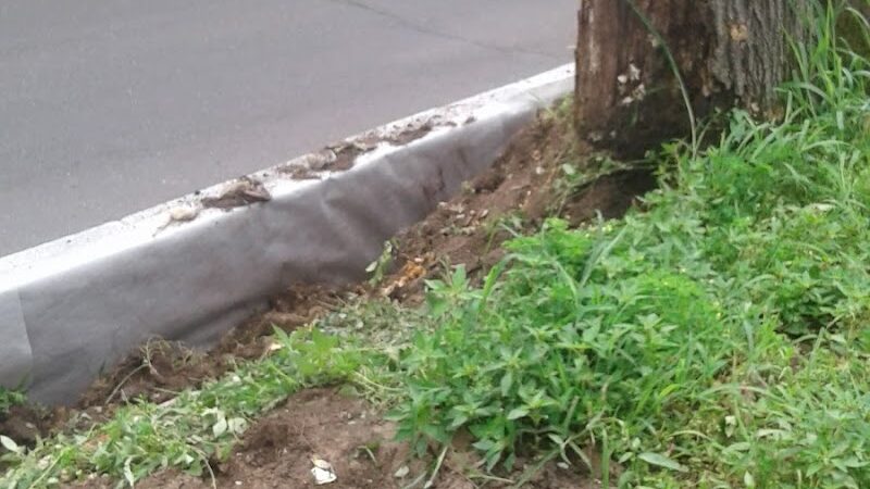 Washington Park - Waterbury, CT