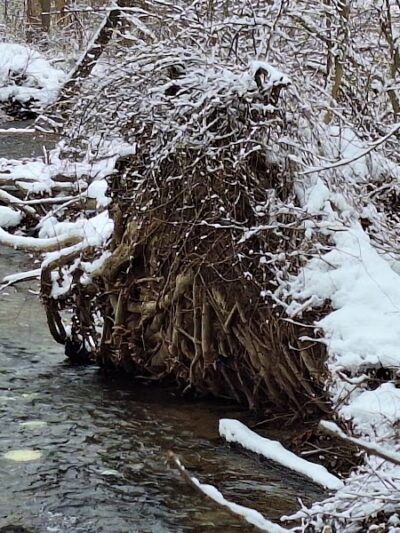 Waterville Park - Waterbury, CT