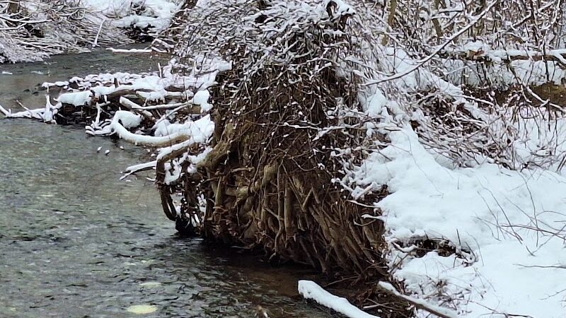 Waterville Park - Waterbury, CT