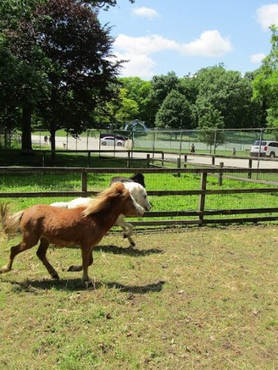Waterville Park - Waterbury, CT