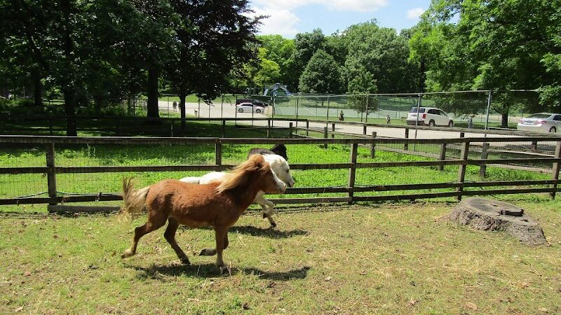 Waterville Park - Waterbury, CT