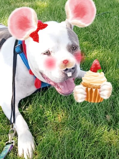 Waterville Park - Waterbury, CT