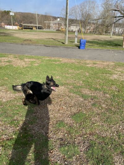 Waterville Park - Waterbury, CT