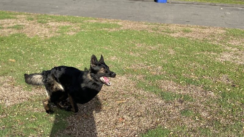 Waterville Park - Waterbury, CT