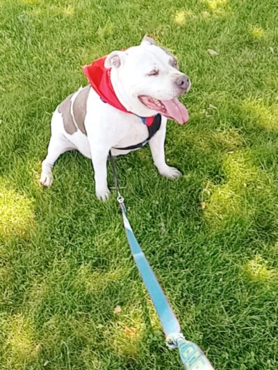 Waterville Park - Waterbury, CT