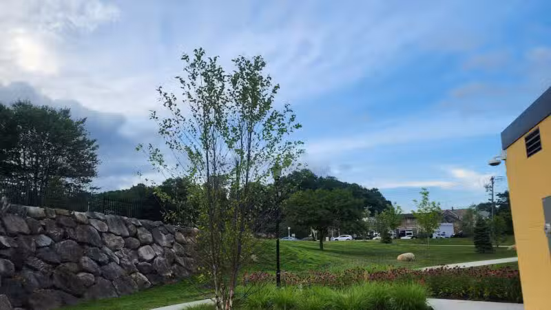Hamilton Park - Waterbury, CT