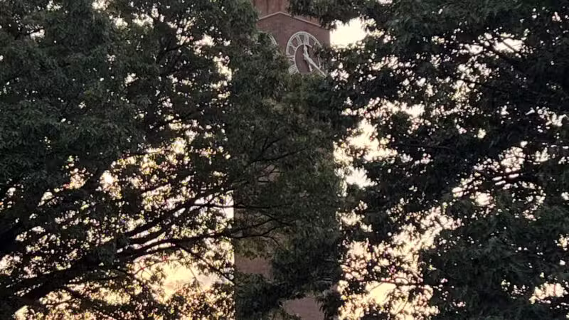 Library Park - Waterbury, CT
