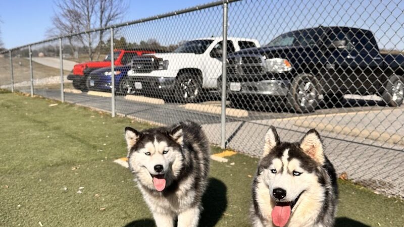 Dog Park - Waterloo, IL