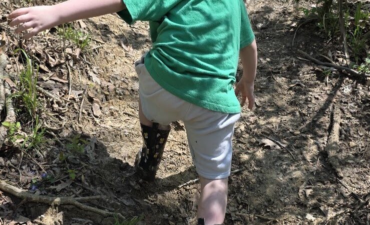 Dog Park - Waterloo, IL