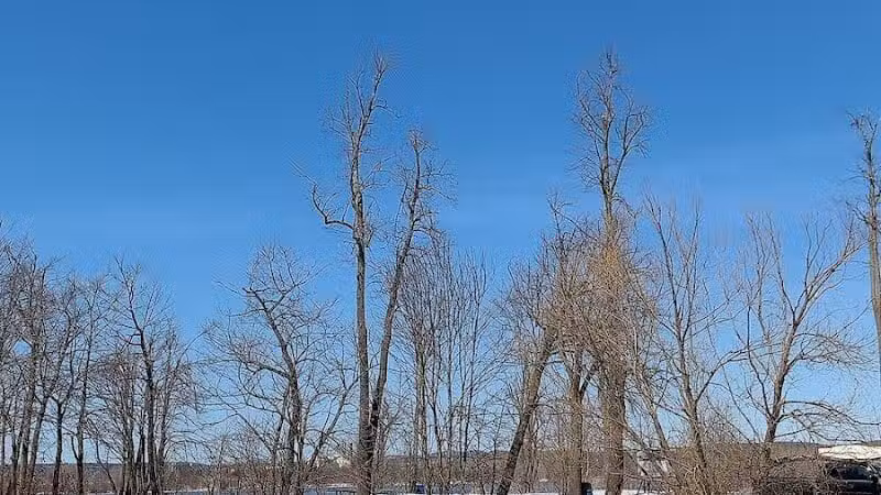 Clinton Park - Watervliet, NY