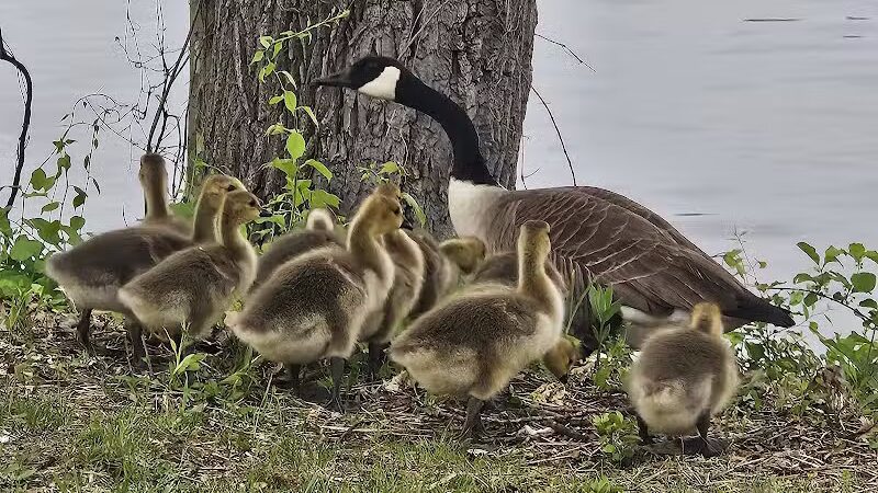 Hudson Shores Park - Watervliet, NY
