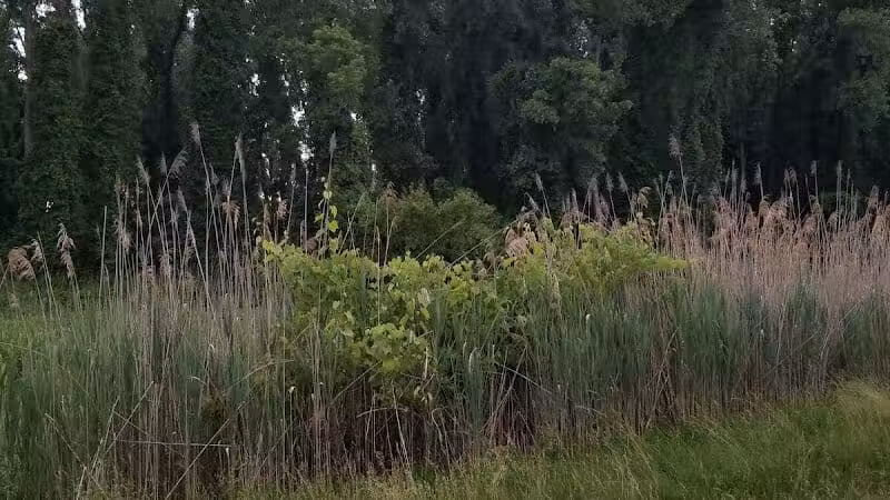 Mohawk-Hudson Bike Trail, Watervliet Parking - Watervliet, NY