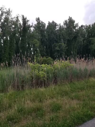 Mohawk-Hudson Bike Trail, Watervliet Parking - Watervliet, NY