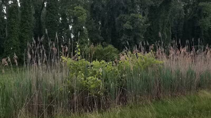 Mohawk-Hudson Bike Trail, Watervliet Parking - Watervliet, NY