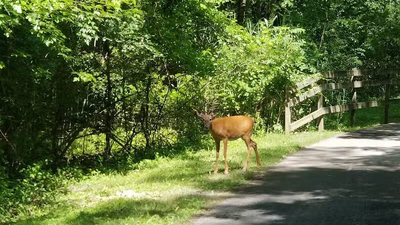 Mohawk-Hudson Bike Trail, Watervliet Parking - Watervliet, NY