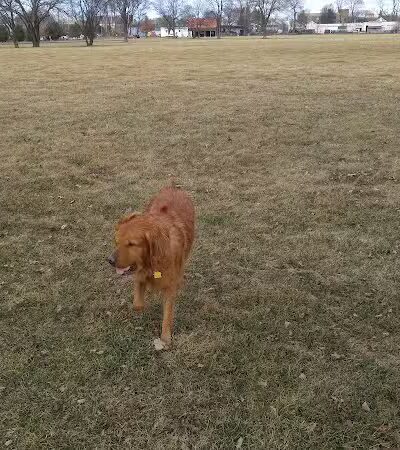 Town of Colonie Schuyler Flatts Cultural Park - Watervliet, NY