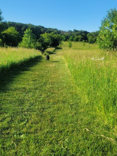 Lakewood Off-Leash Dog Area - Wauconda, IL