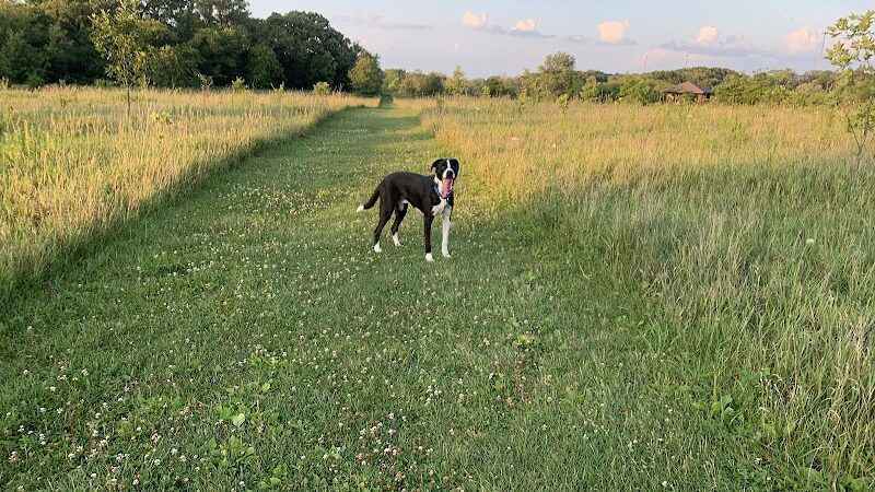 Lakewood Off-Leash Dog Area - Wauconda, IL