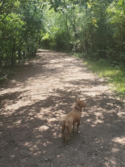 Lakewood Off-Leash Dog Area - Wauconda, IL