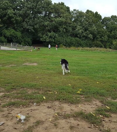 Lakewood Off-Leash Dog Area - Wauconda, IL