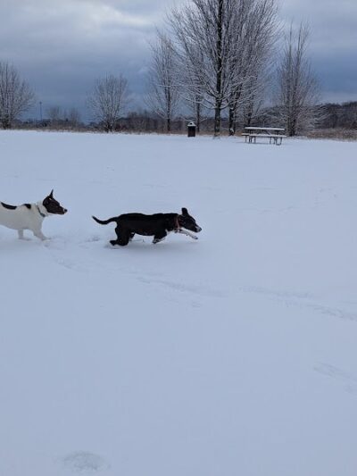 Lakewood Off-Leash Dog Area - Wauconda, IL