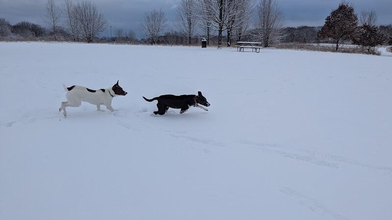 Lakewood Off-Leash Dog Area - Wauconda, IL